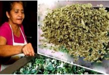 TENGO 65 AÑOS Y SE PUEDEN CONTAR LAS VECES QUE IBA AL MÉDICO ¿CÓMO LO LOGRE? ¡SOLO TOMABA ESTO 3 VECES POR SEMANA.