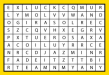 En esta sopa de letras hay 6 nombres de flores, la que encuentres primero revelará tu personalidad.