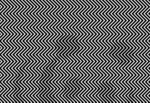 Parece increíble, pero solo una persona entre 1,000 es capaz de encontrar en menos de un minuto el animal oculto.