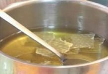 Una chica de 24 años fue detectada con cáncer y con este té de tan solo un ingrediente, pudo salvar su vida y ahora lo queremos compartir contigo.