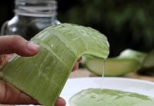 ELIMINA TODO DESECHO DEL COLON CON SABILA Y LIMON.