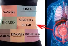 Te diremos como desintoxicar tu cuerpo de toxinas para protegernos de enfermedades.