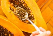 Nunca mas vas a votar la semillas de papaya después de saber esto..