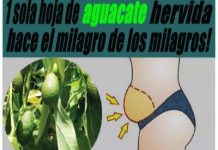 Aguacate