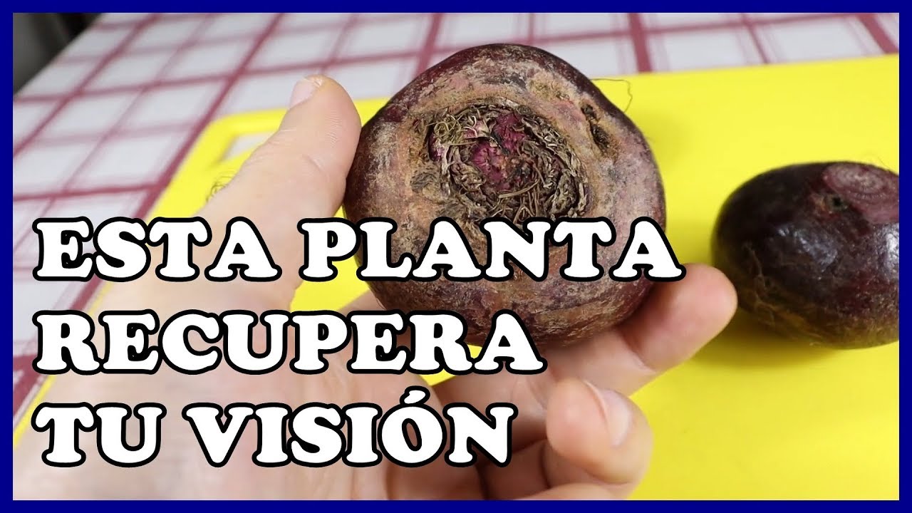 Recupera la visión de tus ojos, esta planta es capaz de mejorar y ...