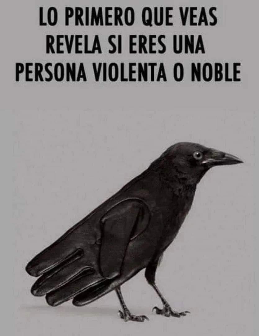 LO PRIMERO QUE VEAS REVELA SI ERES UNA PERSONA NOBLE My Blog